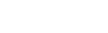 Fitur